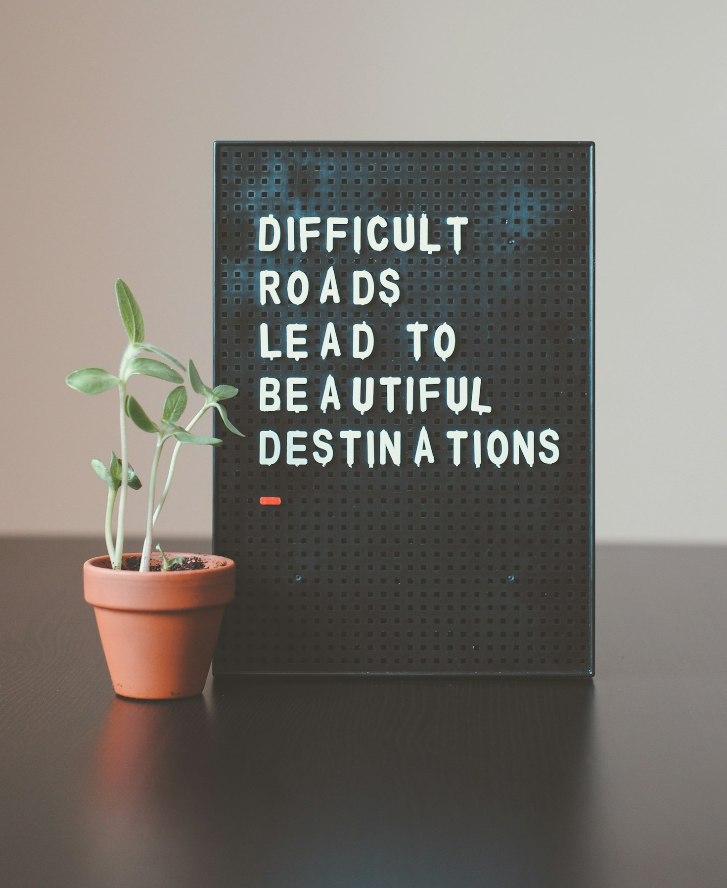 Empowering Your Choices: Knowledge Is Power